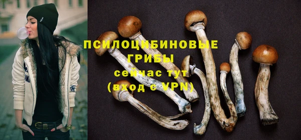 шишки Липки