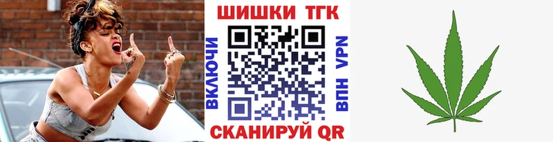 где найти наркотики  Змеиногорск  Шишки марихуана конопля 